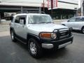 Titanium Metallic - FJ Cruiser 4WD Photo No. 6