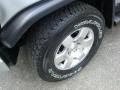 Titanium Metallic - FJ Cruiser 4WD Photo No. 9