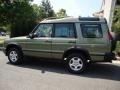 2001 Veinna Green Land Rover Discovery SE7  photo #2