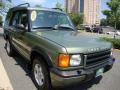 2001 Veinna Green Land Rover Discovery SE7  photo #9