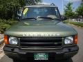 2001 Veinna Green Land Rover Discovery SE7  photo #10