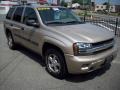 Sandstone Metallic - TrailBlazer LS 4x4 Photo No. 7