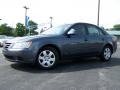 Willow Gray - Sonata GLS Photo No. 6