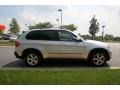 Titanium Silver Metallic - X5 3.0si Photo No. 7