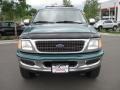 1998 Pacific Green Metallic Ford Expedition XLT 4x4  photo #6