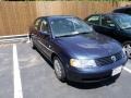 Fjord Blue Pearl - Passat GLS Sedan Photo No. 3