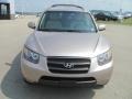 Golden Beige - Santa Fe GLS Photo No. 13