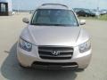 2007 Golden Beige Hyundai Santa Fe GLS  photo #13