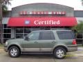 2003 Estate Green Metallic Ford Expedition Eddie Bauer  photo #1