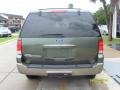 2003 Estate Green Metallic Ford Expedition Eddie Bauer  photo #2