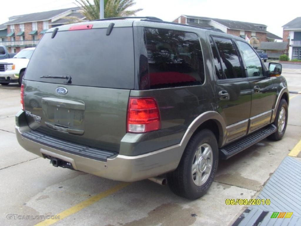2003 Expedition Eddie Bauer - Estate Green Metallic / Medium Parchment photo #6