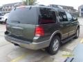 2003 Estate Green Metallic Ford Expedition Eddie Bauer  photo #6