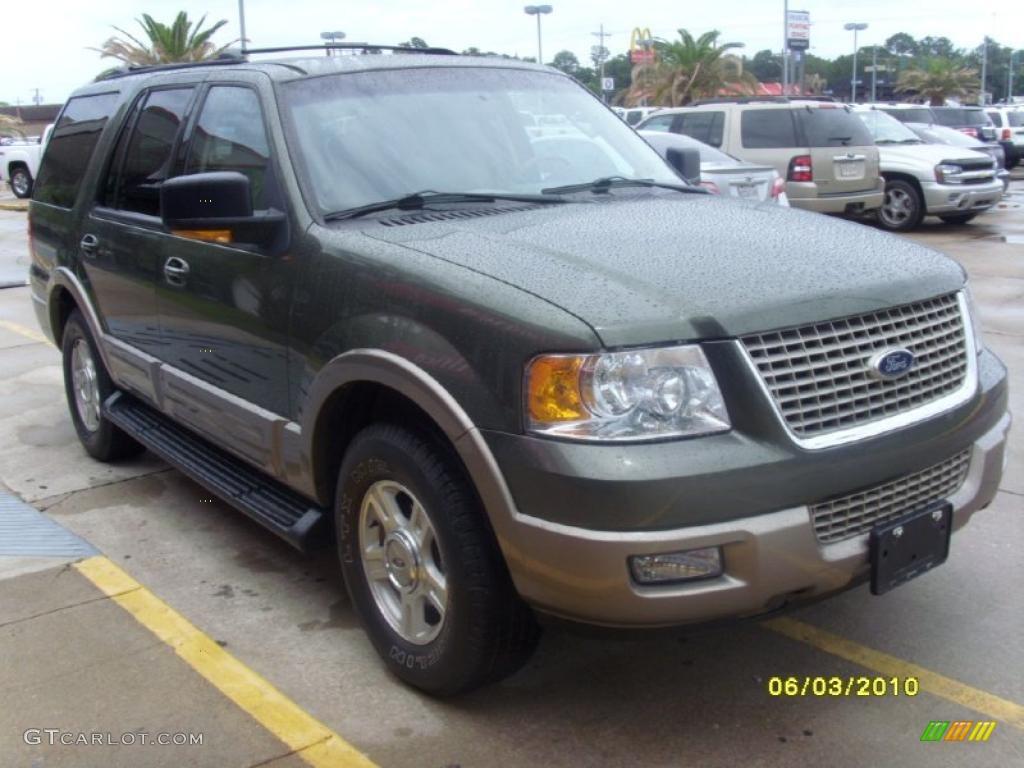 2003 Expedition Eddie Bauer - Estate Green Metallic / Medium Parchment photo #7