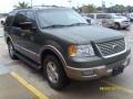 2003 Estate Green Metallic Ford Expedition Eddie Bauer  photo #7