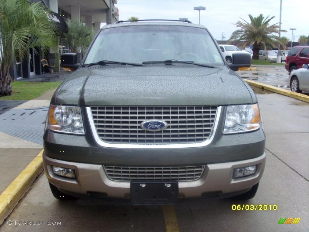 2003 Expedition Eddie Bauer - Estate Green Metallic / Medium Parchment photo #8