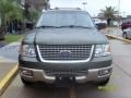 2003 Estate Green Metallic Ford Expedition Eddie Bauer  photo #8