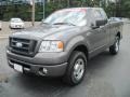 2006 Dark Shadow Grey Metallic Ford F150 STX Regular Cab  photo #3