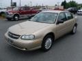 Light Driftwood Metallic - Malibu Sedan Photo No. 1