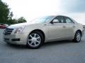Light Platinum - CTS Sedan Photo No. 6