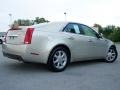 Light Platinum - CTS Sedan Photo No. 7