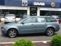 Safari Green Metallic - V50 T5 AWD Photo No. 2