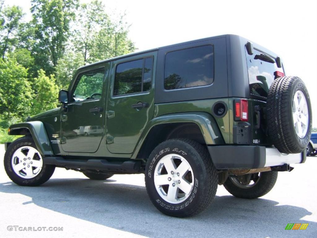 2008 Wrangler Unlimited Sahara 4x4 - Jeep Green Metallic / Dark Slate Gray/Med Slate Gray photo #4