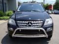 Black - ML 350 4Matic Photo No. 2