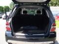 Black - ML 350 4Matic Photo No. 27