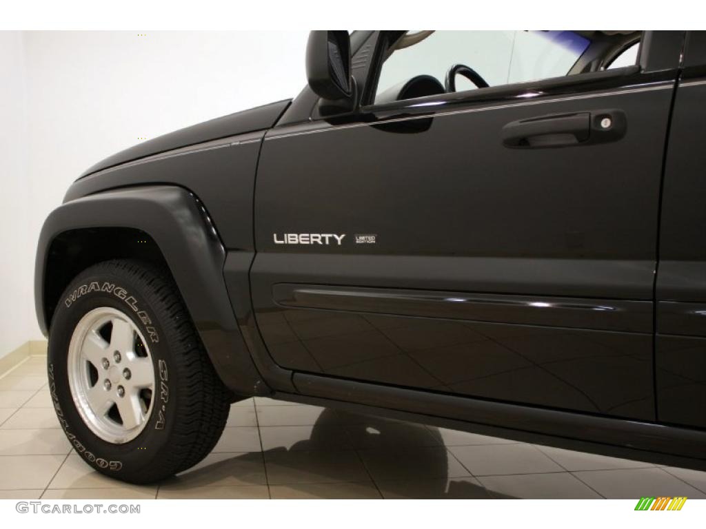 2002 Liberty Limited 4x4 - Black / Dark Slate Gray photo #21