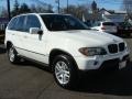 Alpine White - X5 3.0i Photo No. 2
