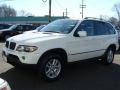 Alpine White - X5 3.0i Photo No. 4
