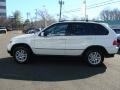 Alpine White - X5 3.0i Photo No. 5