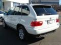 Alpine White - X5 3.0i Photo No. 6
