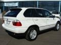Alpine White - X5 3.0i Photo No. 8