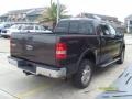 2005 Dark Stone Metallic Ford F150 Lariat SuperCrew 4x4  photo #4