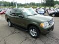 2004 Estate Green Metallic Ford Explorer XLT 4x4  photo #6