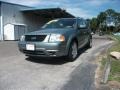 2005 Titanium Green Metallic Ford Freestyle Limited AWD  photo #8