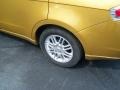 Amber Gold Metallic - Focus SE Sedan Photo No. 9