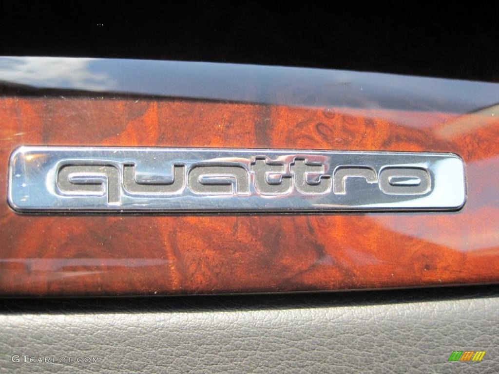 2003 A4 3.0 quattro Sedan - Light Silver Metallic / Ebony photo #34