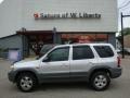 Platinum Metallic - Tribute LX V6 Photo No. 1