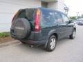 2003 Clover Green Pearl Honda CR-V EX 4WD  photo #3