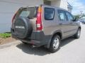2004 Mojave Mist Metallic Honda CR-V LX 4WD  photo #3