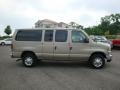 2010 Pueblo Gold Ford E Series Van E350 XLT Passenger  photo #2