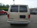 2010 Pueblo Gold Ford E Series Van E350 XLT Passenger  photo #4