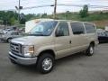 2010 Pueblo Gold Ford E Series Van E350 XLT Passenger  photo #10