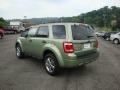 Kiwi Green Metallic - Escape XLT V6 Photo No. 5