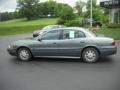 Steelmist Gray Metallic - LeSabre Custom Photo No. 8