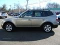 Platinum Bronze Metallic - X3 3.0si Photo No. 5