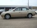 Champagne Metallic - Elantra GLS Sedan Photo No. 3