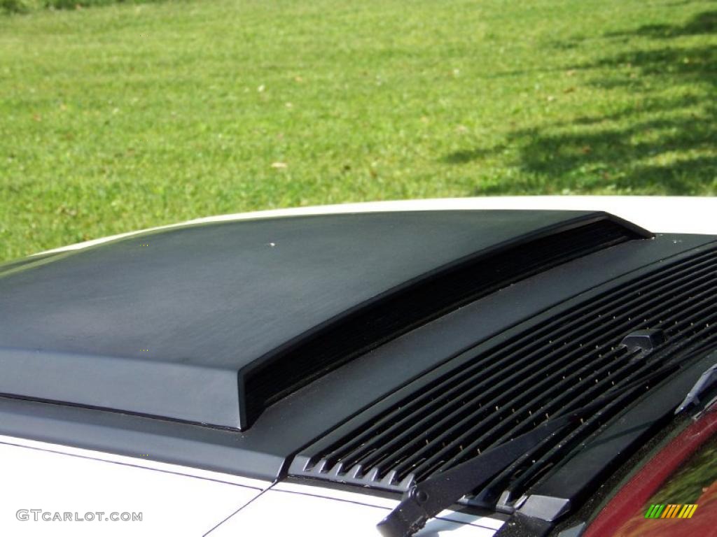 1983 Mustang GT Coupe - White / Red photo #11